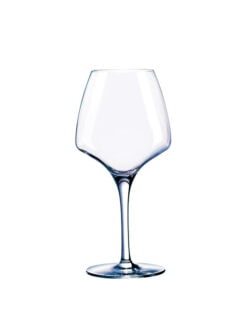 VERRE "LES REVOLUTIONNAIRES" OPEN'UP PROTASTING 32 cl