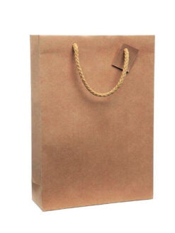 SAC KRAFT BRUN UNI SANS FENÊTRE 3 BOUTEILLES (poignées cordelières)