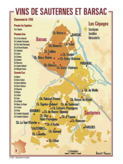 CARTE POSTALE DES VIGNOBLES DE SAUTERNES ET BARSAC
