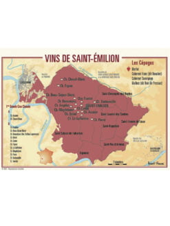 CARTE POSTALE DU VIGNOBLE DE SAINT-ÉMILION