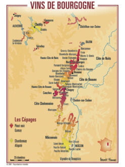 CARTE POSTALE DES VIGNOBLES DE BOURGOGNE