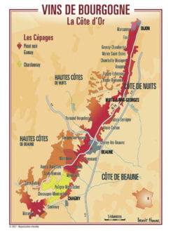 CARTE POSTALE DES VIGNOBLES DE LA CÔTE D'OR