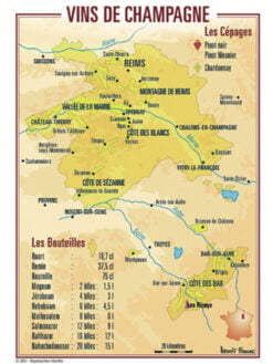 CARTE POSTALE DU VIGNOBLE DE CHAMPAGNE