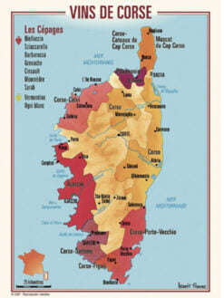 CARTE POSTALE DU VIGNOBLE DE CORSE