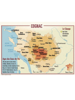 CARTE POSTALE DU VIGNOBLE DE COGNAC