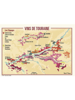 CARTE POSTALE DU VIGNOBLE DE TOURAINE
