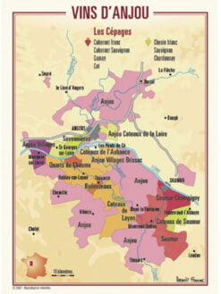 CARTE POSTALE DU VIGNOBLE D'ANJOU