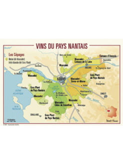 CARTE POSTALE DU VIGNOBLE DU PAYS NANTAIS