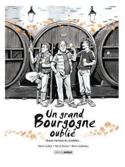 UN GRAND BOURGOGNE OUBLIÉ - TOME 2
