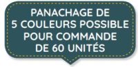 PASTILLE PANACHAGE 5 COULEURS