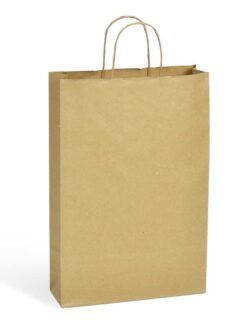 SAC KRAFT BRUN UNI SANS FENÊTRE 110 gr - 3 BOUTEILLES (poignées torsadées)