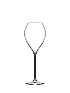 VERRE "LES ÉLÉGANTS" JAMESSE GRAND CHAMPAGNE - 25 cl